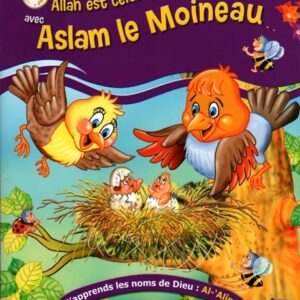 Aslam le Moineau