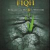 Ontwikkeling van Fiqh