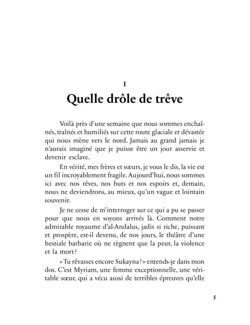 Le manuscrit de Sukayna - Azzedine Barika – Image 5