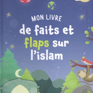 Mon livre de faits et flaps sur l'Islam