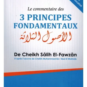 Le Commentaire des 3 Principes Fondamentaux