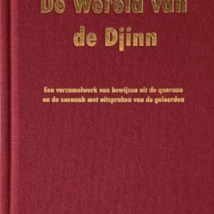 De Wereld Van De Djinn