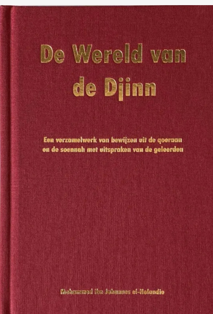 De Wereld Van De Djinn