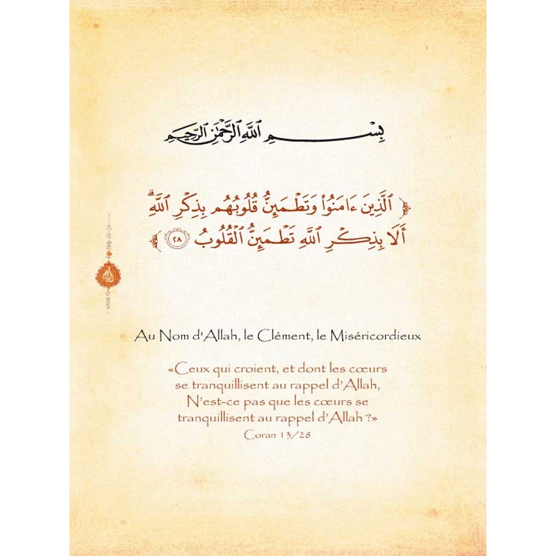 La Citadelle Du Musulman - SOUPLE - Couleur Blanche Crème – Image 5