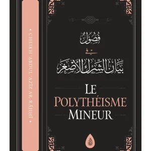 Le polythéisme mineur