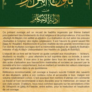 Alternative view of Produit