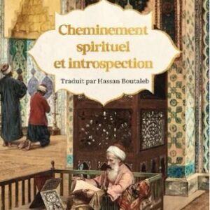 Cheminement spirituel et introspection