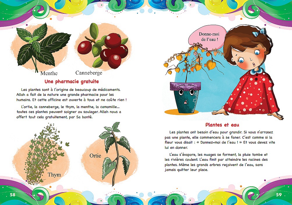 Pack de 10 livres pour les enfants : Collection "De la Science à la Foi : Découvrir Allah à travers Sa Création" – Image 4