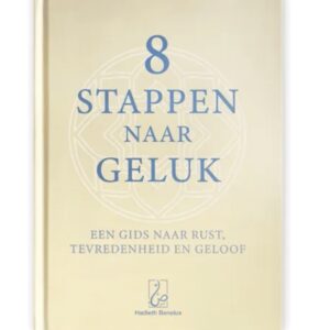 Alternative view of 8 Stappen naar Geluk