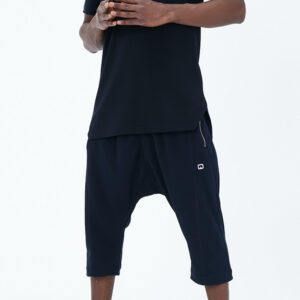 Alternative view of Ensemble AISANCE