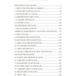 Alternative view of Siyar A'lam An-Noubala