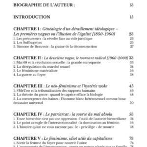 Alternative view of L’éclipse du masculin - Qays al-Hanbali