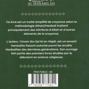 Alternative view of Le succès des successeurs se trouve dans la croyance des prédécesseurs